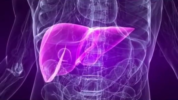 M international MiTOWN CORDYCEPS COFFEE 100% ARABICA