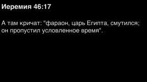 День 215. Библия за год. С митрополитом Иларионом.