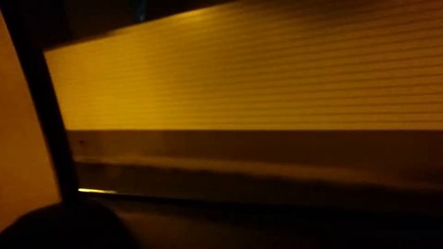 Первая Тесла