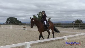 124D Pippa Murray on Herman Training AM Dressage Woodside May 2023