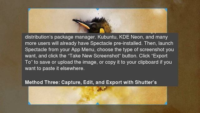 How to Take a Screenshot on Linux смотреть онлайн