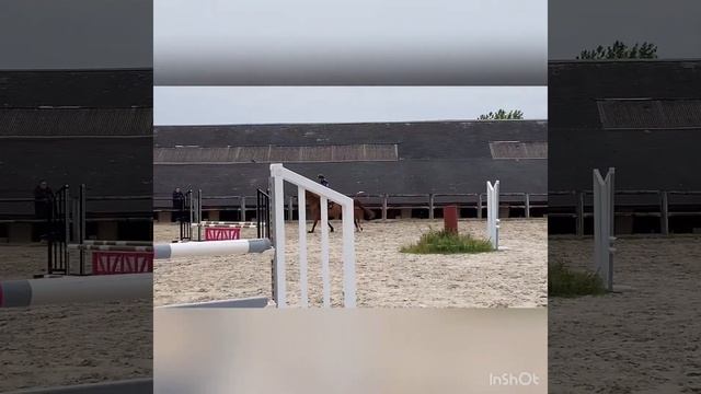 Cokine de Lean | Cheval à vendre | Haras de Genainville смотреть онлайн