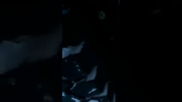 Трал утро дубак смотреть онлайн