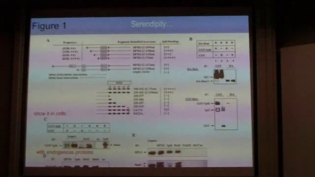 HC - Talking to Chromatin, PcG [1/2] смотреть онлайн