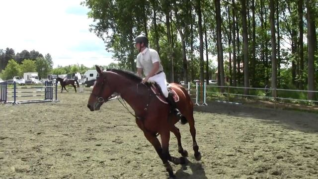 Centa (Cento x Zeus) смотреть онлайн