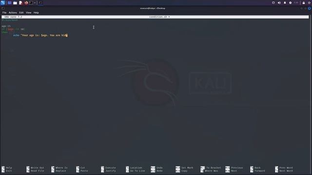 Penetration Testing with Kali Linux - Bash Scripting - Video 5 смотреть онлайн