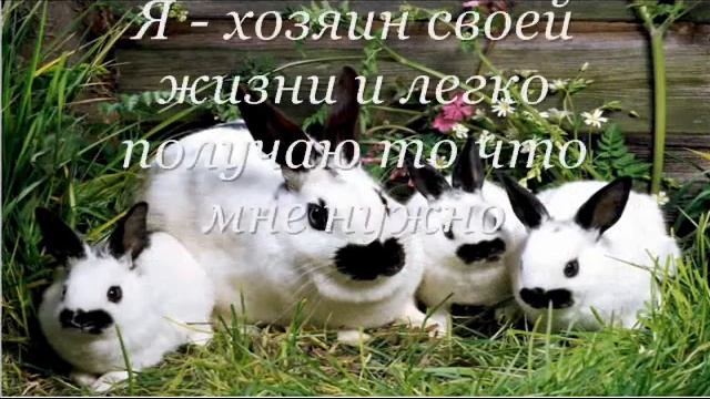 Мечта фермера.wmv смотреть онлайн