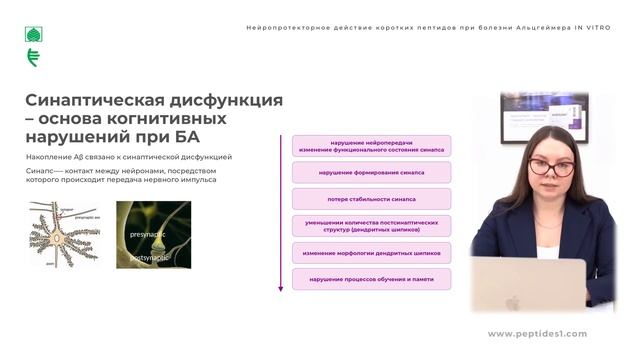 Нейропротекторное действие коротких пептидов при болезни Альцгеймера In vitro смотреть онлайн