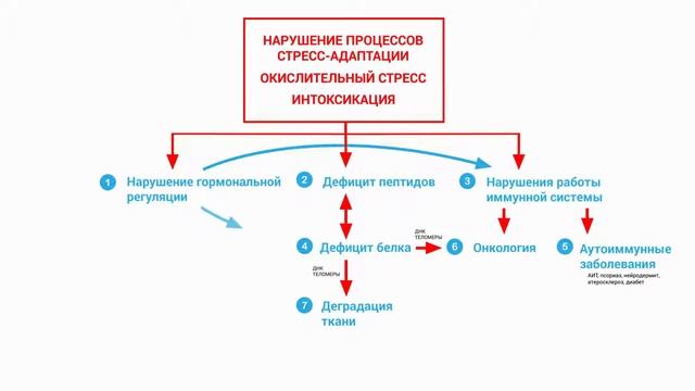 Видеоинтервью проекта «За кулисами красоты в Санкт-Петербурге» — выпуск 1 смотреть онлайн