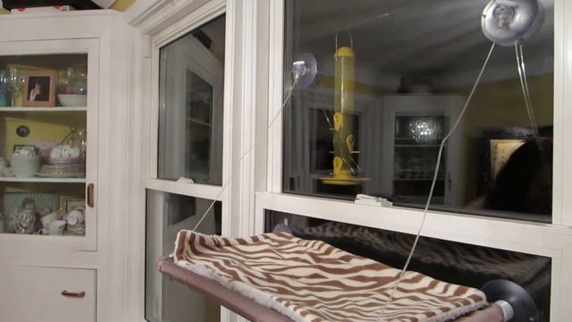 Window Mounted Cat Bed смотреть онлайн