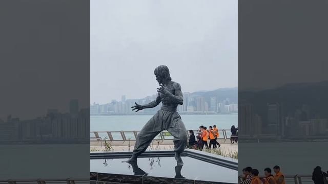 Hong Kong | Travel | mob version (IPhone 11 pro max) смотреть онлайн