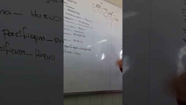 Dra Vilchez - Microbiología UNFV смотреть онлайн
