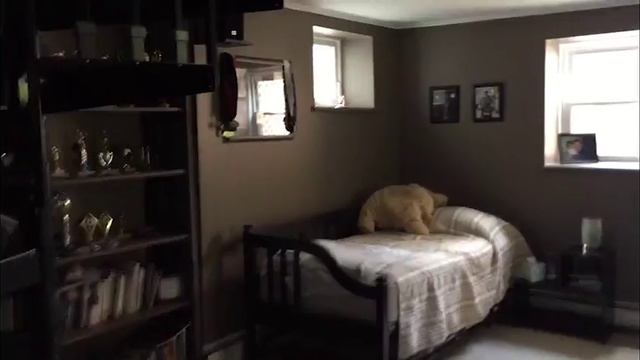 Wild Turkey Knocks on Window Just in Time for Thanksgiving смотреть онлайн