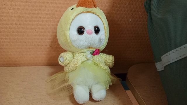 вложик с соей