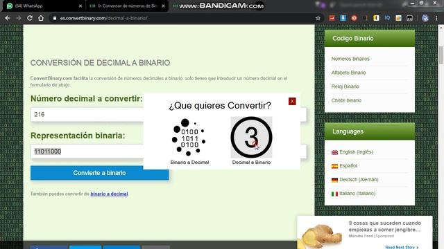 Conversor de Binario y Decimal v0.1 C# Windows Forms, Visual Studio смотреть онлайн