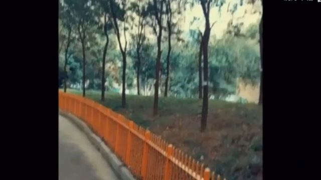 七里香(Qi Li Xiang) смотреть онлайн