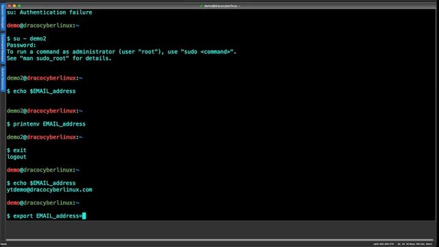 Basics Environment and Shell Variables смотреть онлайн