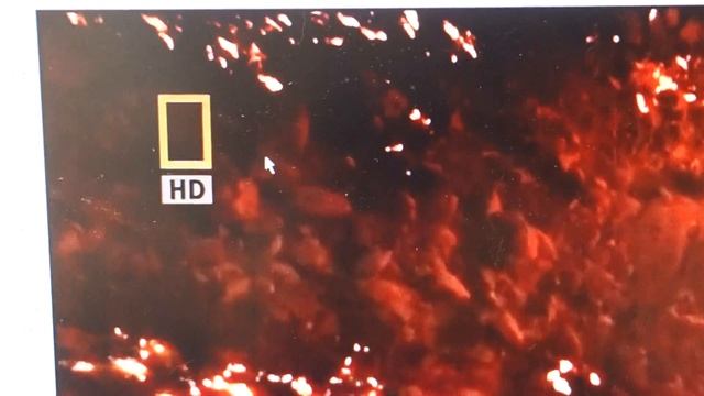 Encoder test : live server with lower bitrate смотреть онлайн