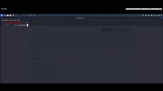 Netcraft-WHOIS- nslookup- HOST- DIG-TheHarvester смотреть онлайн