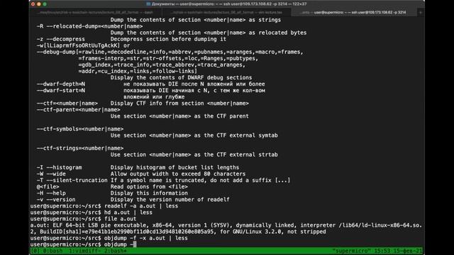 RISCV-assembly lecture 8: ELF Format. смотреть онлайн
