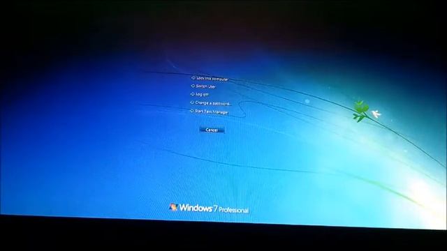 10.11 Cats смотреть онлайн