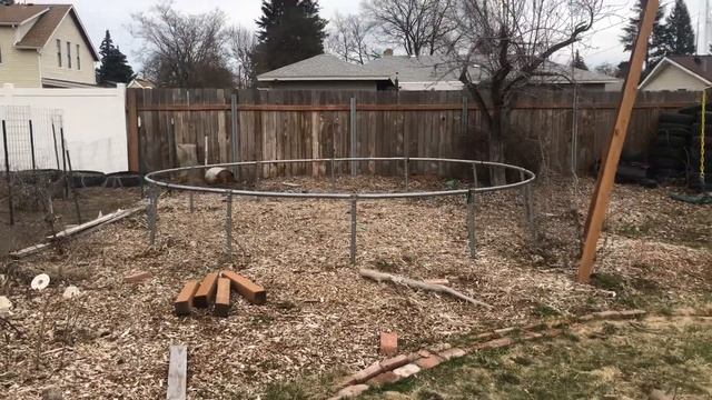 Taking care of much needed Apple tree Pruning.￼ смотреть онлайн