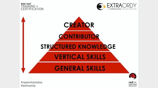 Transformation: from a vertical skill to a structrured knowledge for proven abilities смотреть онлайн