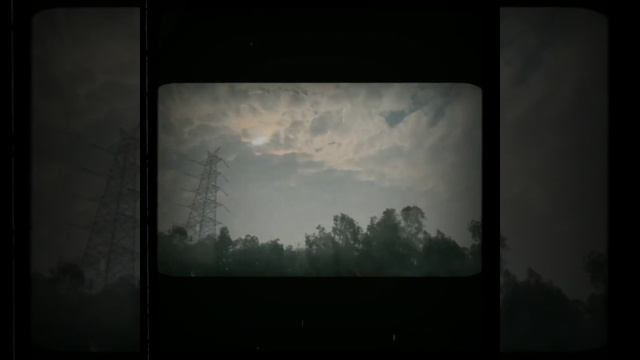 𝕎𝕙𝕒𝕥 𝕚𝕤 𝕤𝕙𝕖 𝕝𝕚𝕜𝕖?𝕋𝕙𝕖𝕪 𝕨𝕖𝕣𝕖 𝕥𝕠𝕝𝕕~ 𝕤𝕙𝕖'𝕤 𝕒 𝕞𝕖𝕝𝕒𝕟𝕔𝕙𝕠𝕝𝕪 𝕖𝕞𝕡𝕥𝕪 𝕤𝕠𝕦𝕝...𝔸 𝕝𝕠𝕤𝕥 𝕝𝕠𝕟𝕖𝕝𝕪 𝔹𝕚𝕣𝕕🕊️ смотреть онлайн