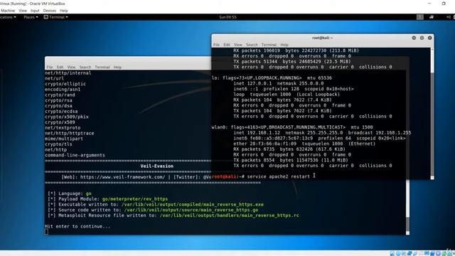 20. Veil in action to get Connection from Client смотреть онлайн