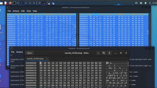 🧑🏿💻 Continuamos con los retos forenses Digital #3 смотреть онлайн