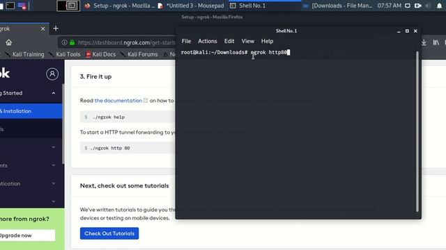 How to set Ngrok in Kali Linux смотреть онлайн