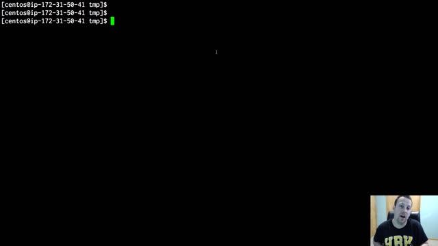 Learning Linux - Navigating the OS смотреть онлайн