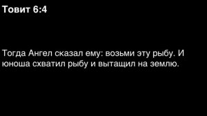 День 133. Библия за год. С митрополитом Иларионом.
