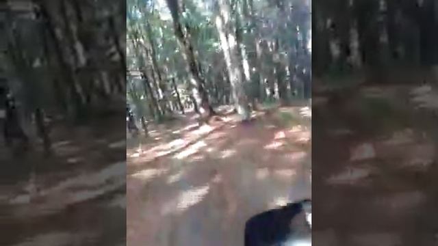 Лес и мой мопед;) смотреть онлайн