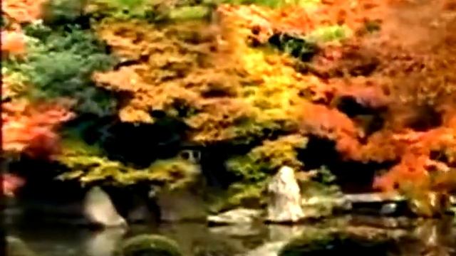 JJ Mc Moon - Fedora's Garden смотреть онлайн
