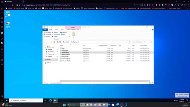what happens if you bsod apponfly? смотреть онлайн