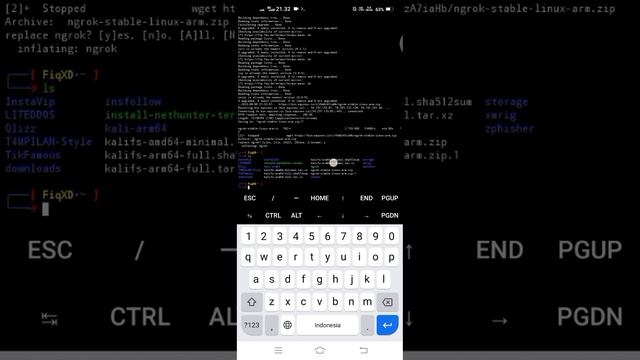 INSTALLING NGROK SERVER|non root смотреть онлайн