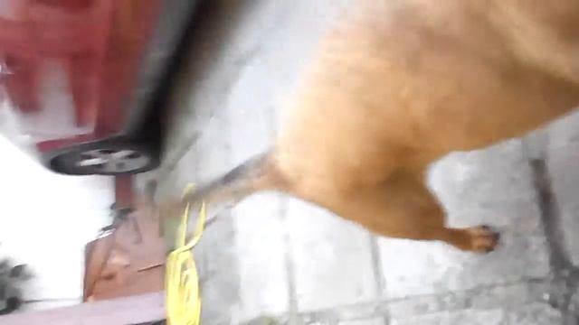 Новости часа от Фёдора Федорина смотреть онлайн