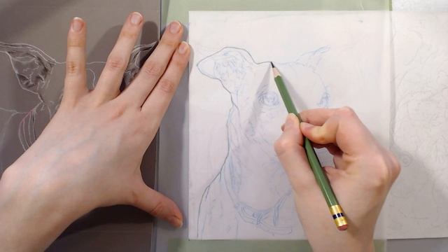 Art Livestream : Accurately Transferring an Outline Sketch смотреть онлайн