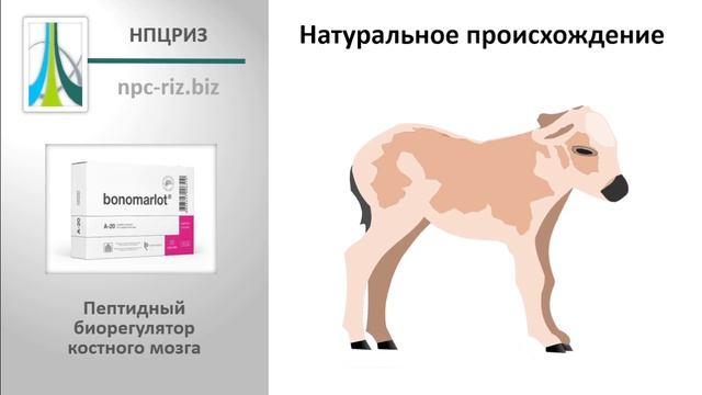 Бономарлот смотреть онлайн