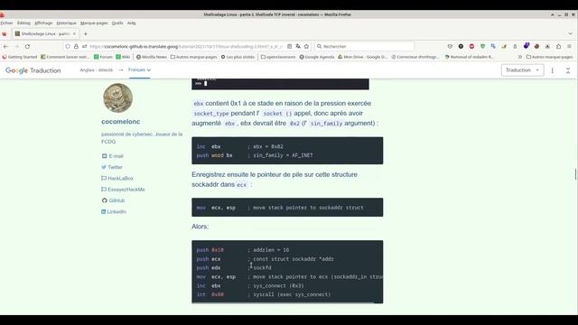 shellcode avec reverse shell linux. смотреть онлайн