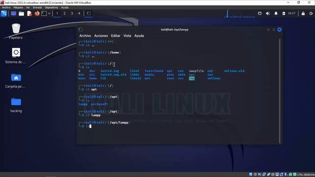 Iniciar Xampp en Linux con CMD смотреть онлайн