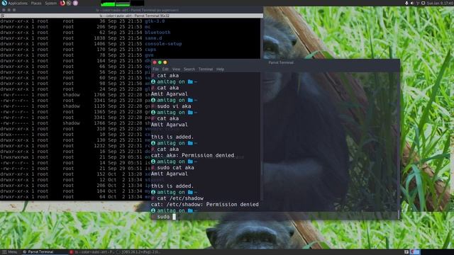 Linux - when to use sudo смотреть онлайн