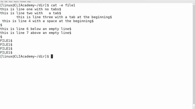CLI Academy: Linux "cat" command смотреть онлайн