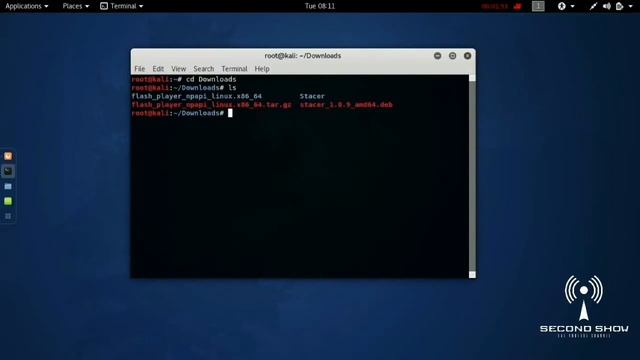 Kali Linux - Stacer смотреть онлайн