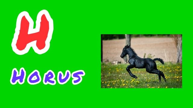 A to N A for Apple B for ball c for cat green screen copyright free смотреть онлайн