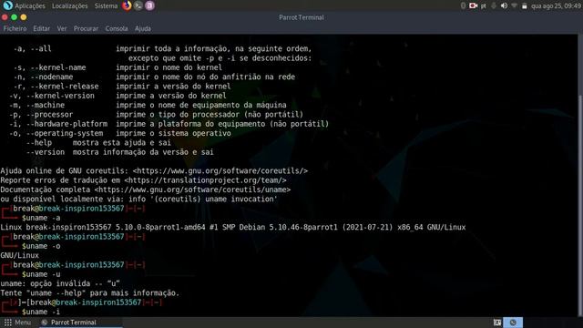 Como usar o comando UNAME no linux смотреть онлайн