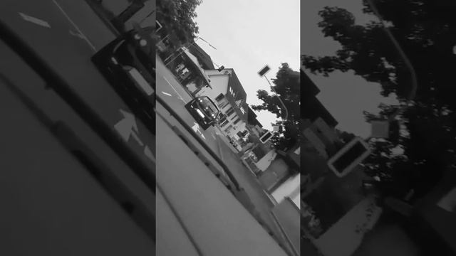 Die Seat Ibiza 6l Society In Haiger 17. -18.07.20q6