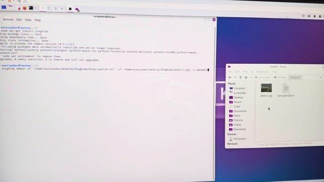 How to use Steghide in Kali Linux смотреть онлайн