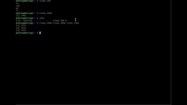 Unix Process Control and multitasking смотреть онлайн